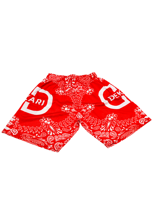 Paisley Athletic Shorts